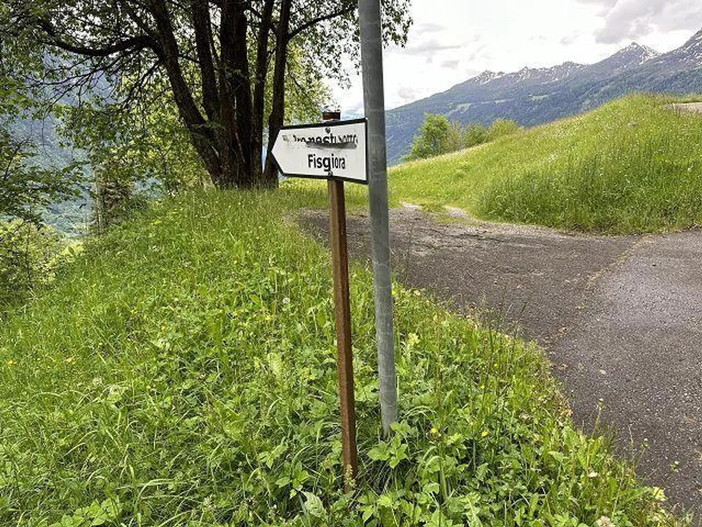 rustico di 2 1/2 loc.  molto tranquilla, soleggiata - Foto 32 di 33