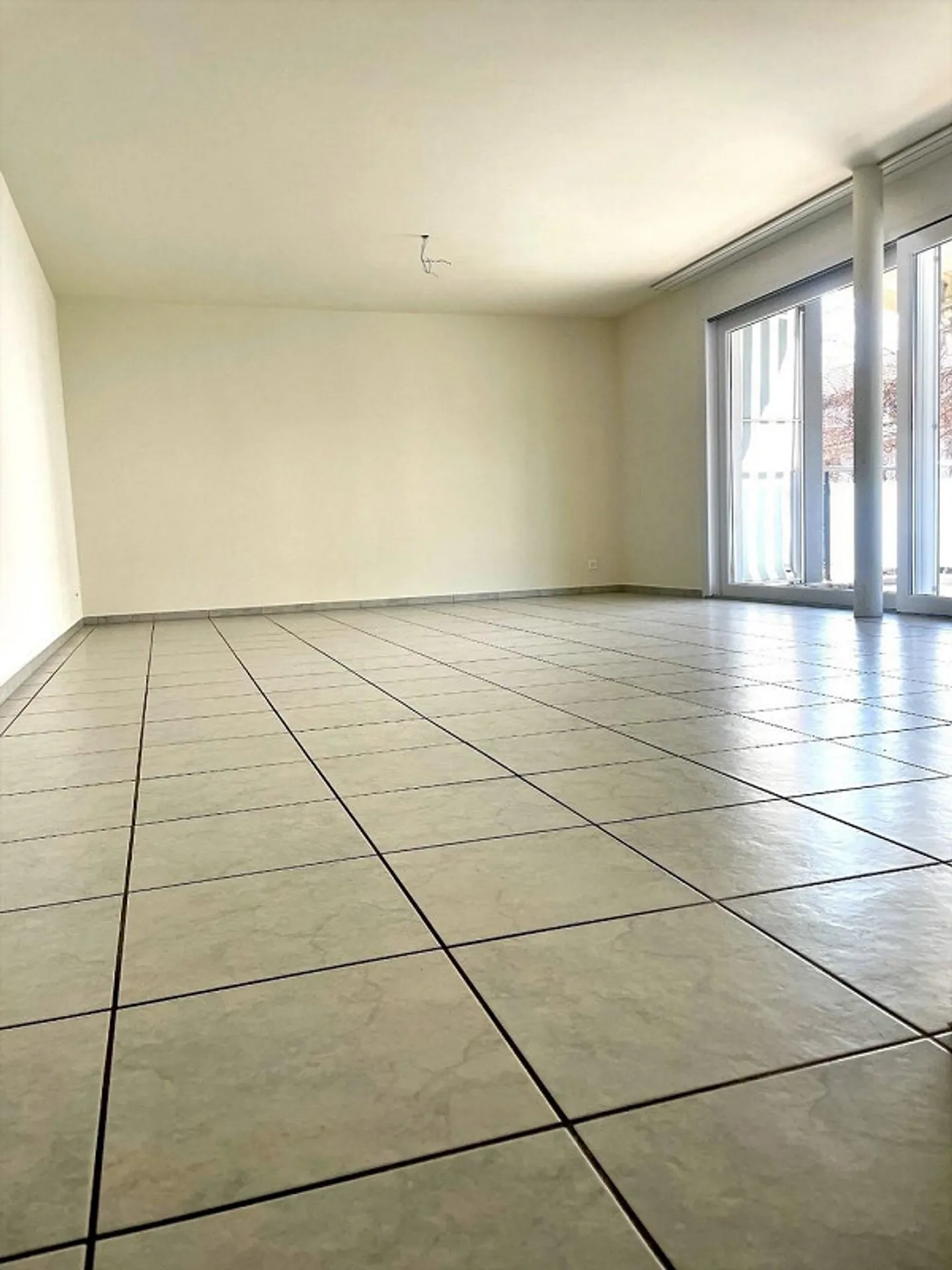 Appartement 4 ½ pièces, 4656 Starrkirch-Wil SO - Photo 4 sur 13