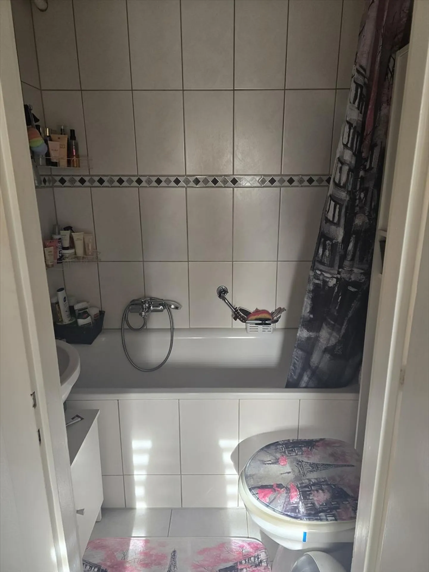 2.5 Room Apartment - Photo 4 of 4