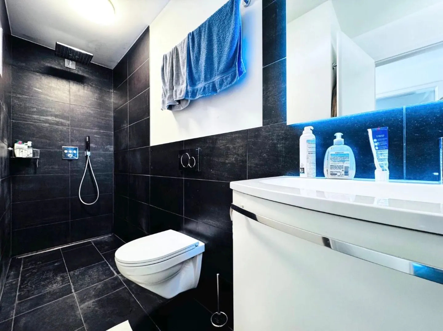 Spacious Family Home with Garden - Photo 4 of 21