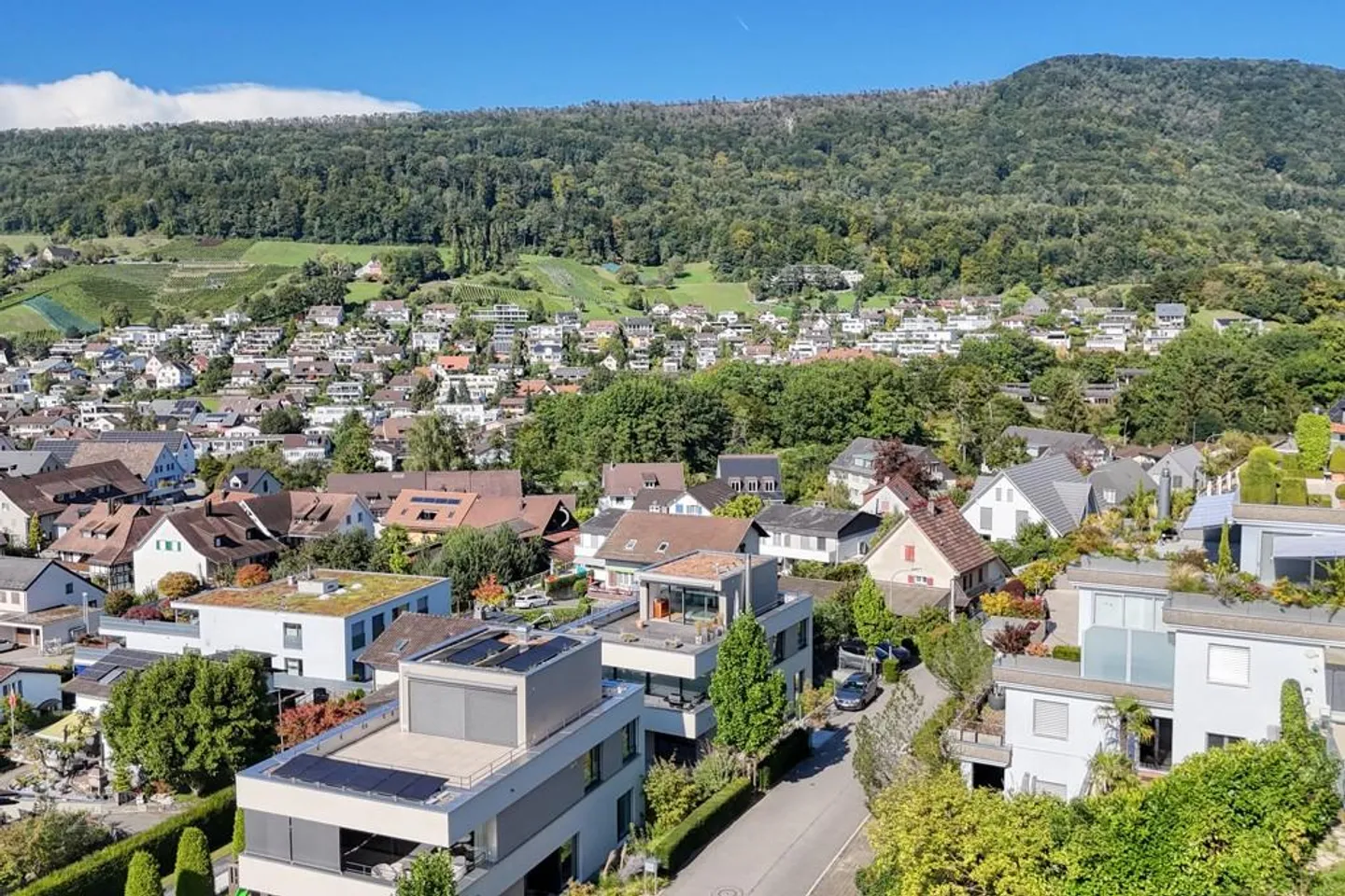 Lusso, vista panoramica e meraviglie di spazio? La tua residenza da sogno in una posizione privilegiata - Foto 1 di 25