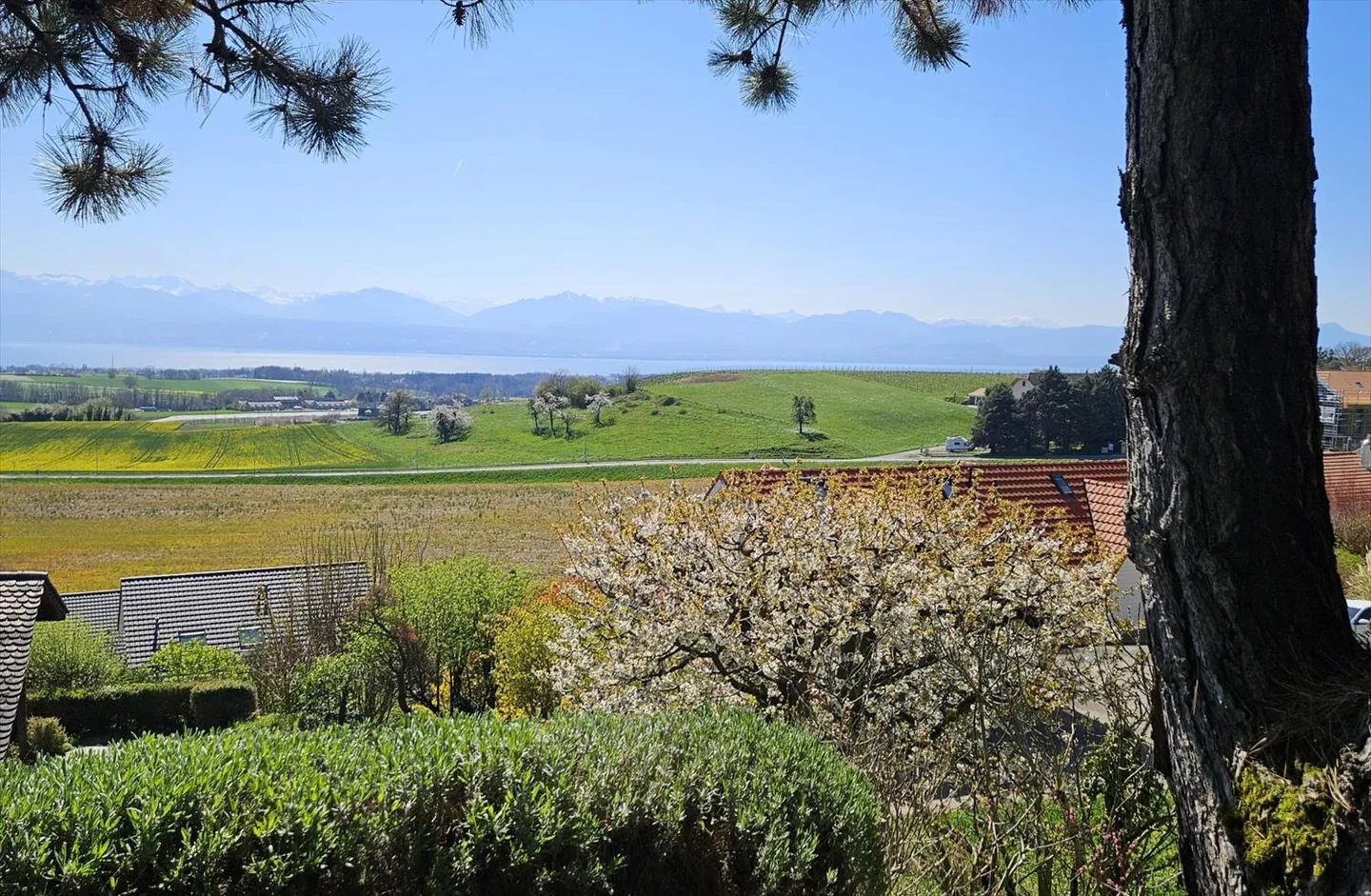 Vista sul lago Grande villa indipendente a Yens s/Morges - Foto 2 di 13