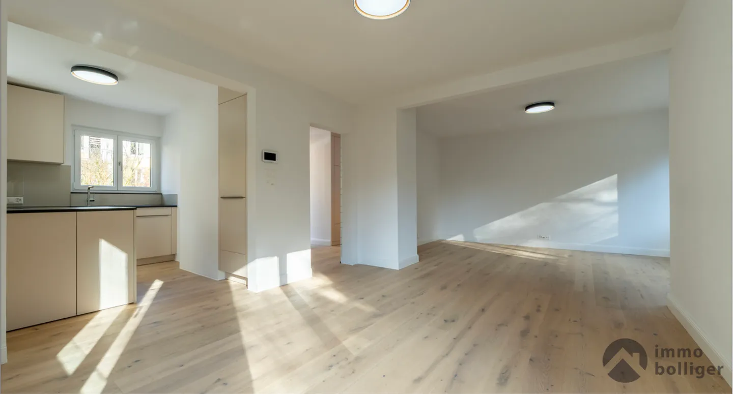Casa moderna ristrutturata in una posizione ambita a Olten - Foto 3 di 16