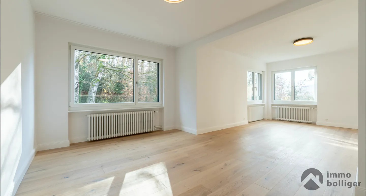Casa moderna ristrutturata in una posizione ambita a Olten - Foto 4 di 16