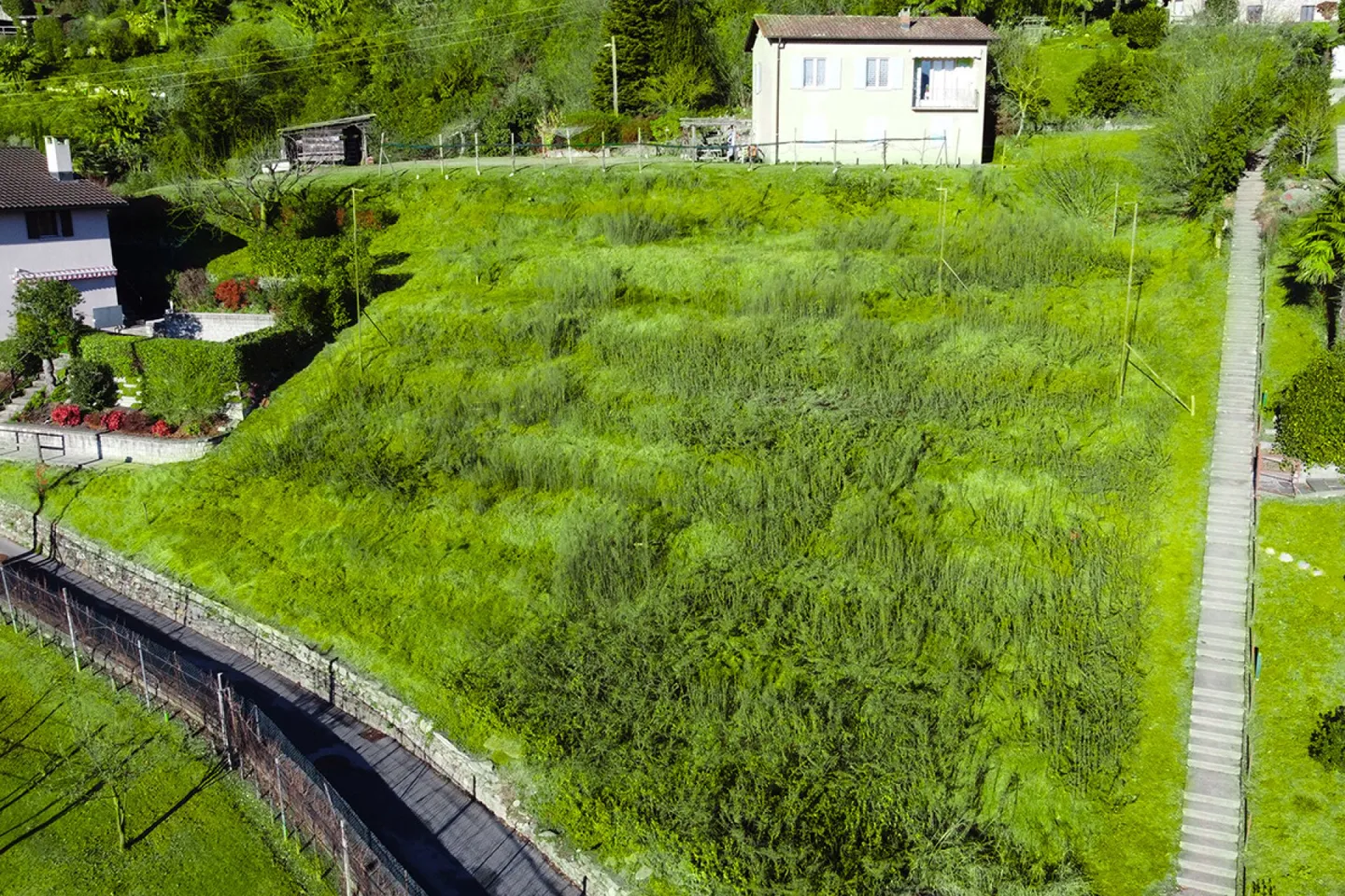 Grundstück mit bewilligtem Bauprojekt - Foto 4 von 7