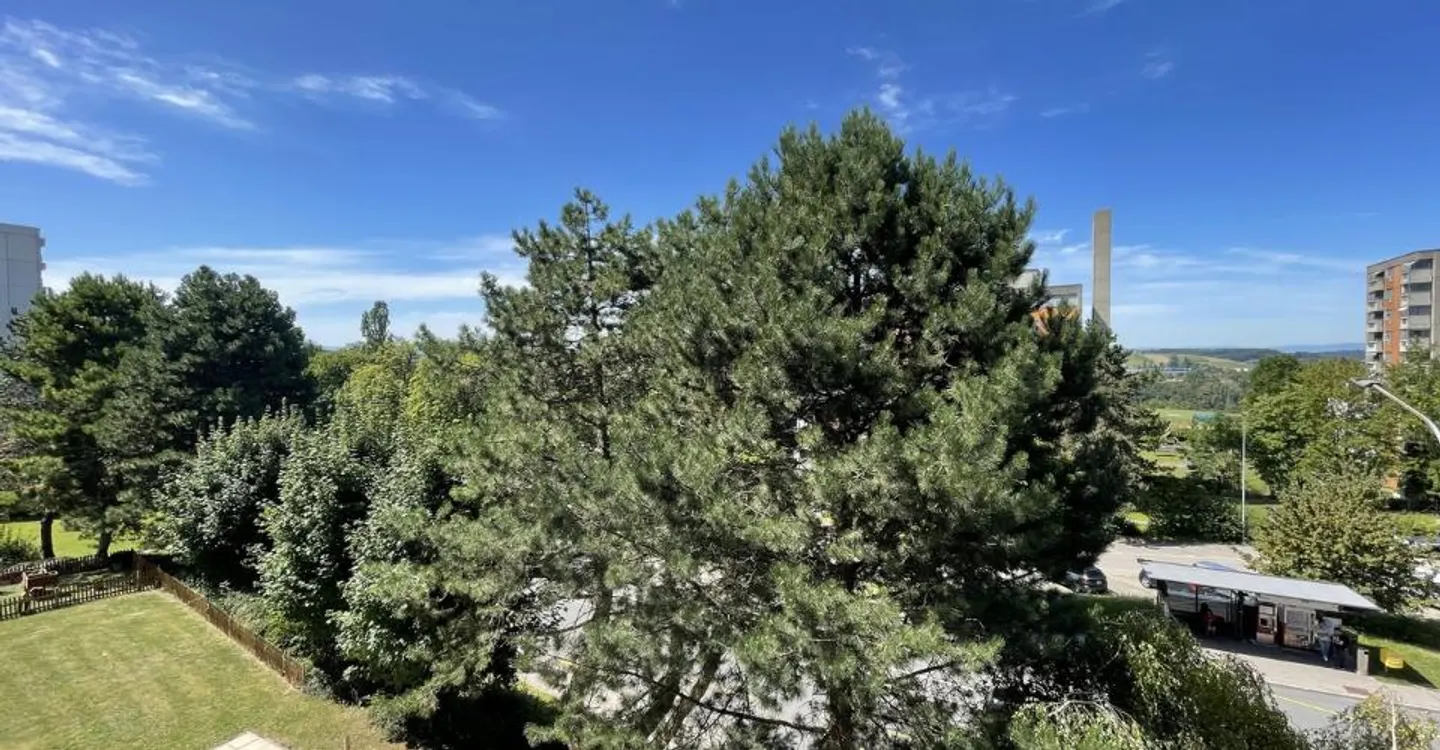 Appartement de 1.0 pièce au rez - Photo 2 sur 2