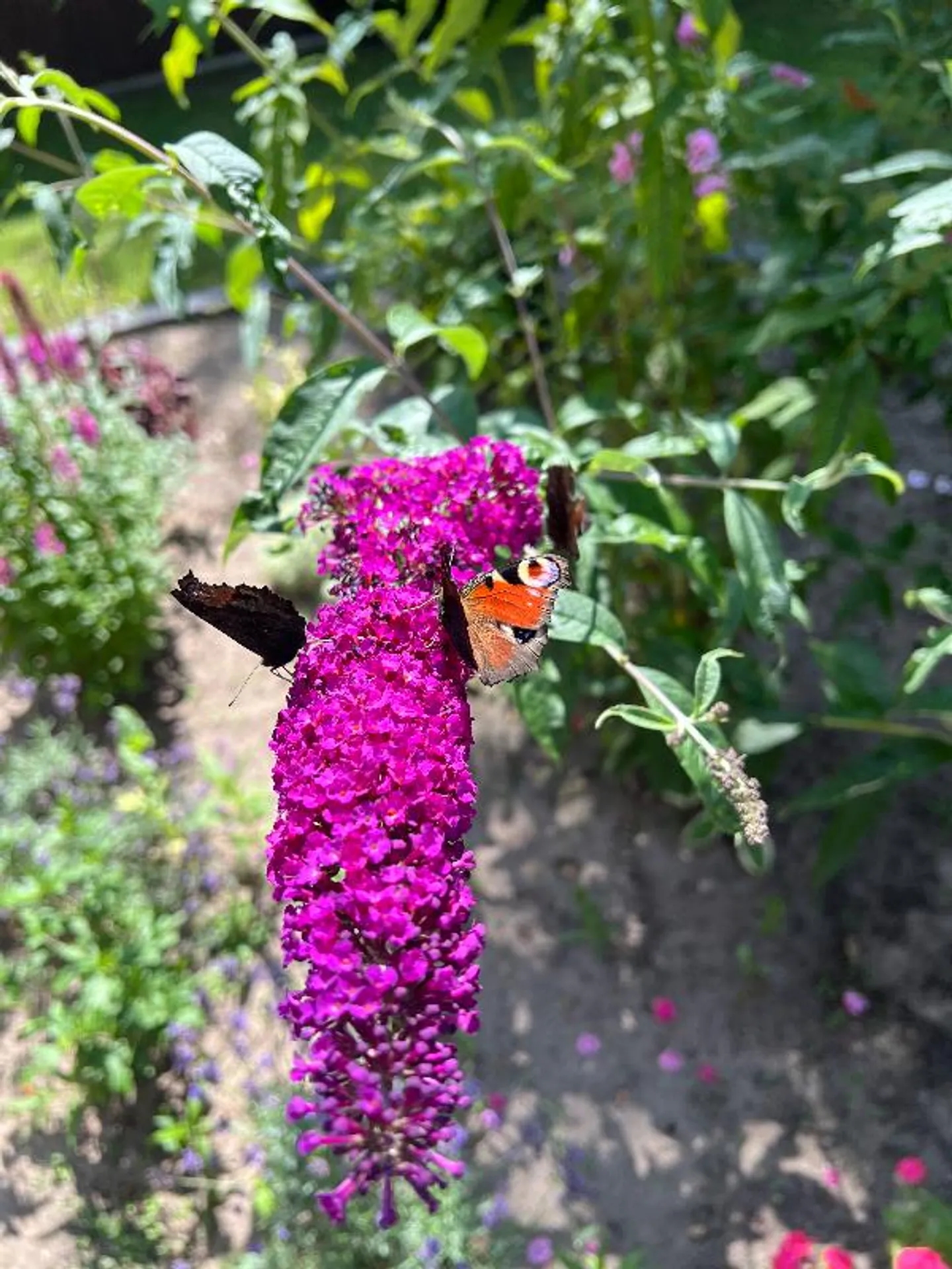 «4.5 Zimmer Wohnung» - Foto 1 von 1