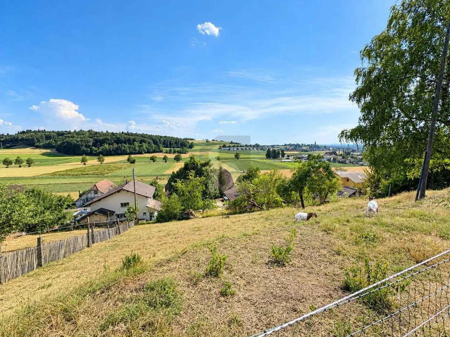 BUILDING PARADISE WITH PANORAMIC VIEW - Photo 2 of 4