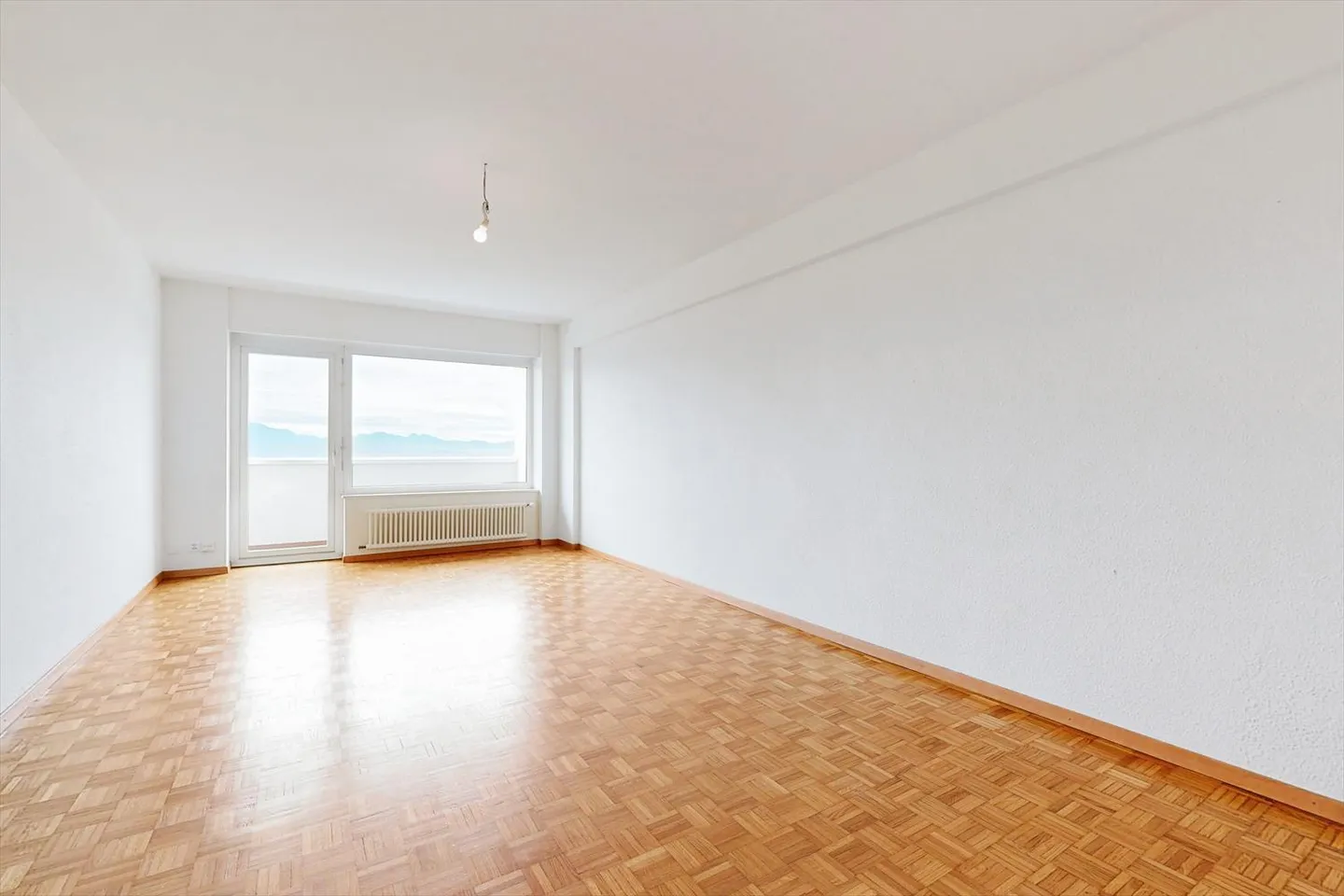 Vista mozzafiato sul lago e sulle Alpi! - Foto 3 di 12