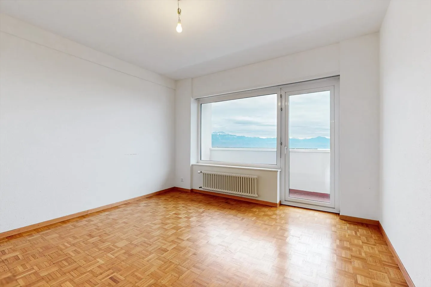 Vista mozzafiato sul lago e sulle Alpi! - Foto 5 di 12