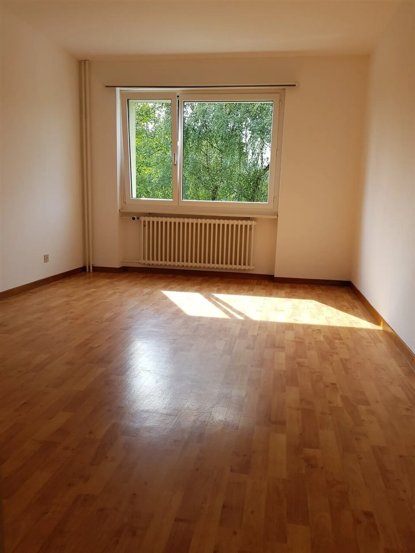 Appartamento di 2.5 locali a Olten! - Foto 3 di 4