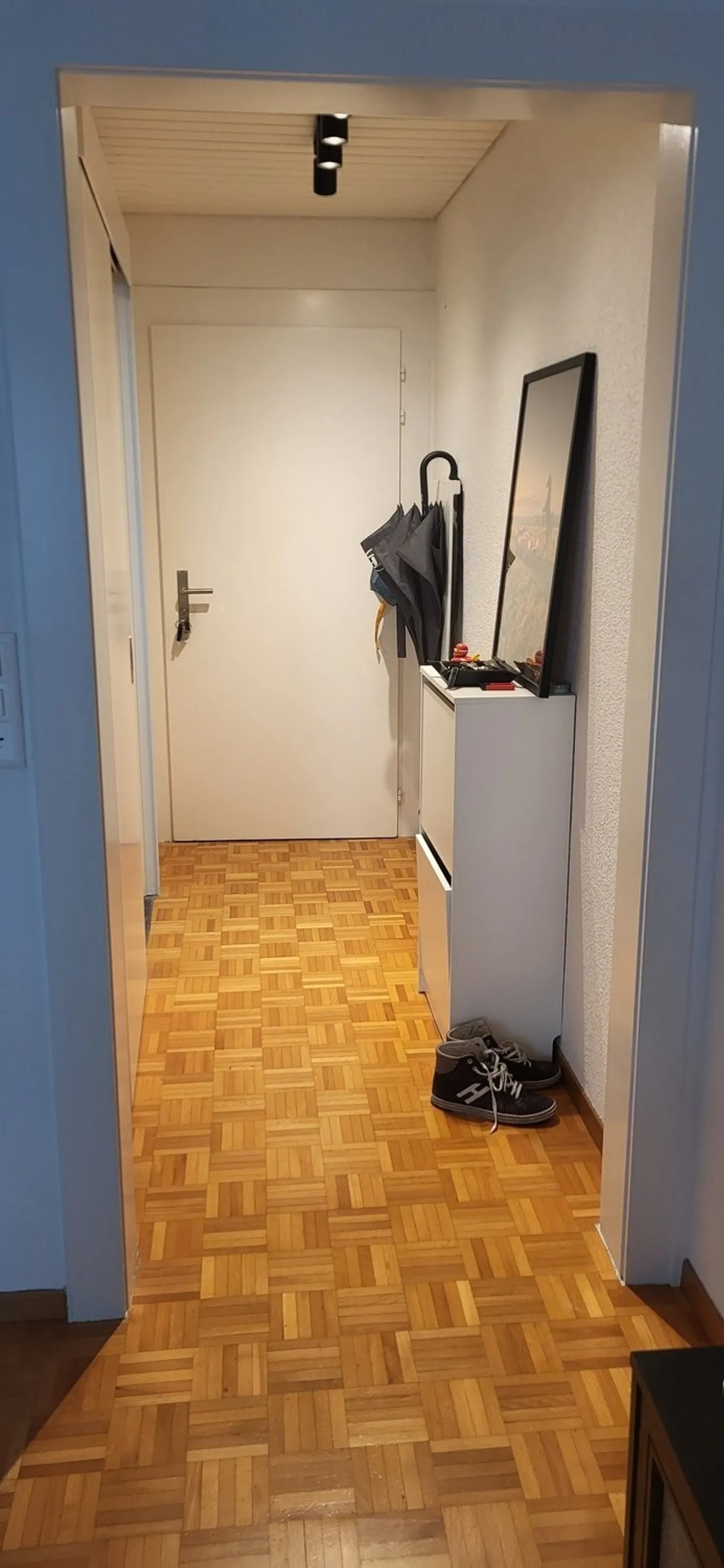 Vuoi vivere in centro? Appartamento 1.5 stanze, 2° piano a destra - Foto 7 di 26