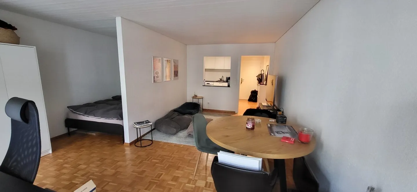 Vuoi vivere in centro? Appartamento 1.5 stanze, 2° piano a destra - Foto 22 di 26