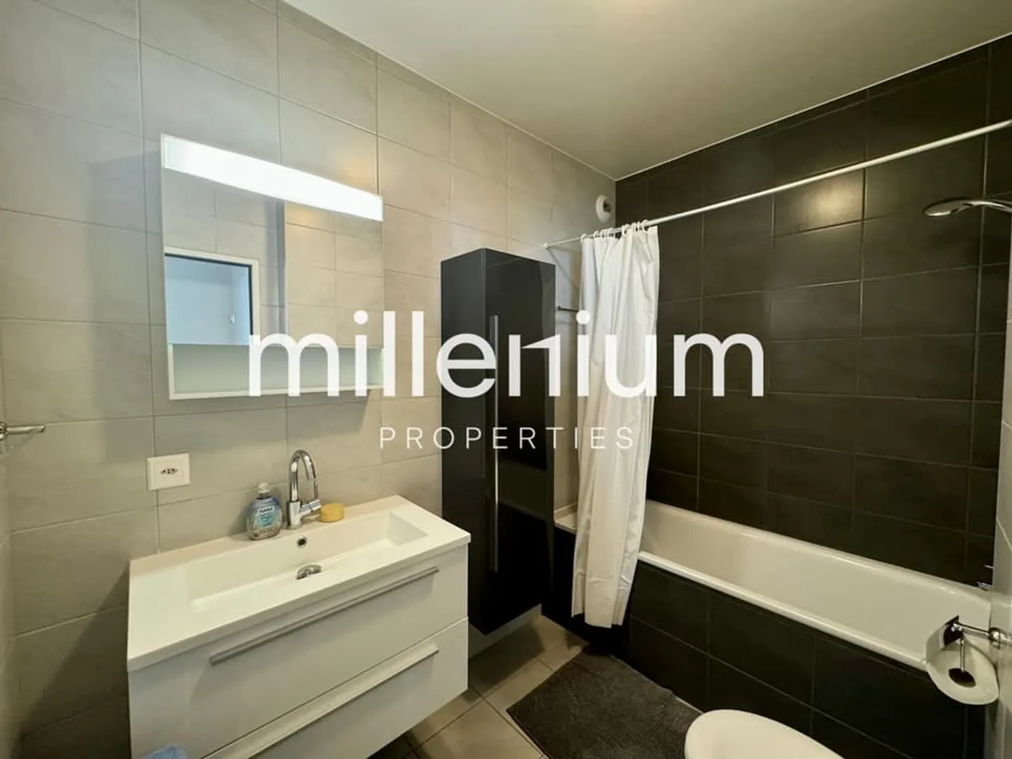 Schöne möblierte Wohnung in Carouge - Foto 8 von 8