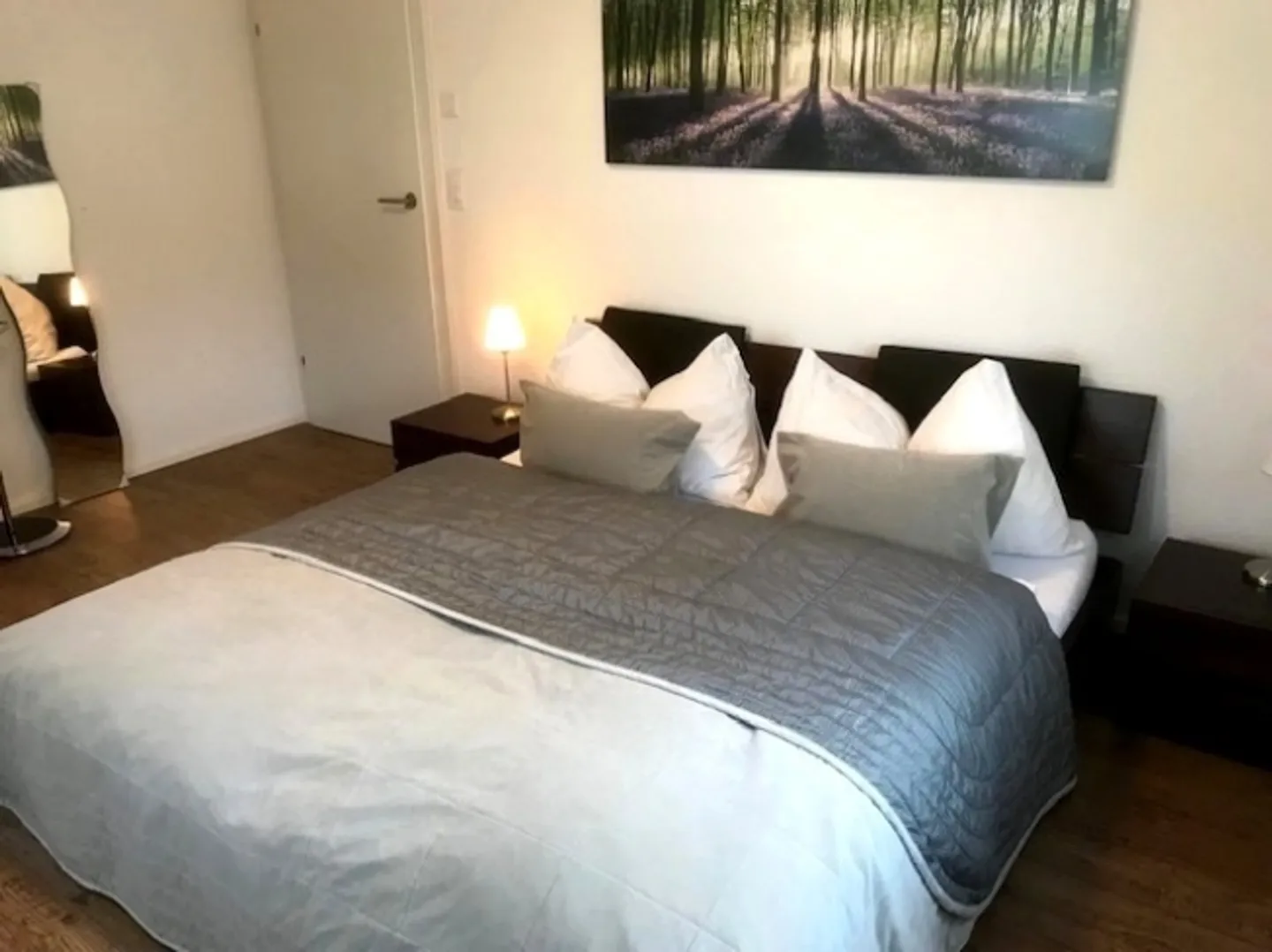 2½ ROOM APARTMENT IN OBERGÖSGEN (SO), FURNISHED - Photo 3 of 9