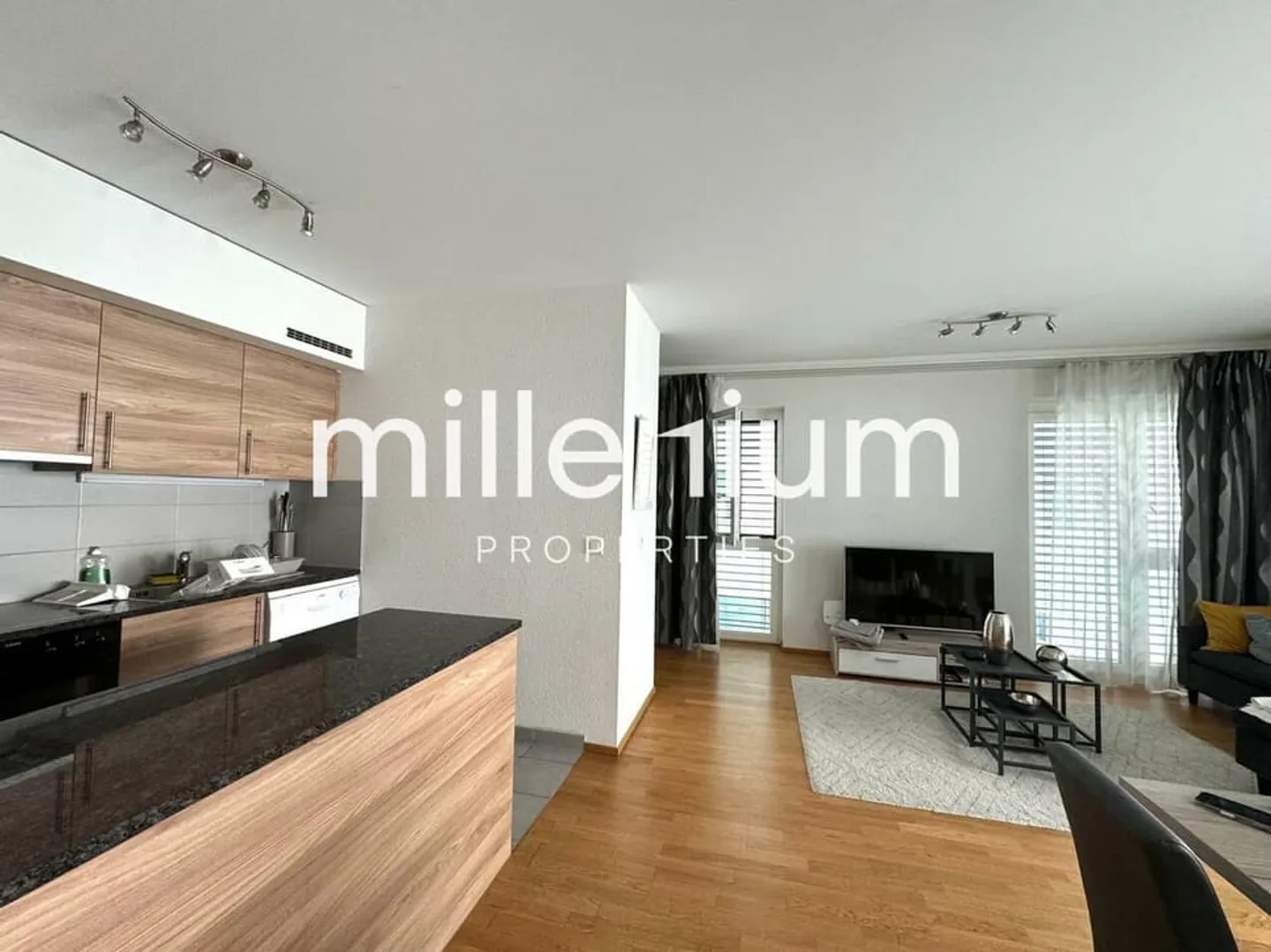 Schöne möblierte Wohnung in Carouge - Foto 2 von 8