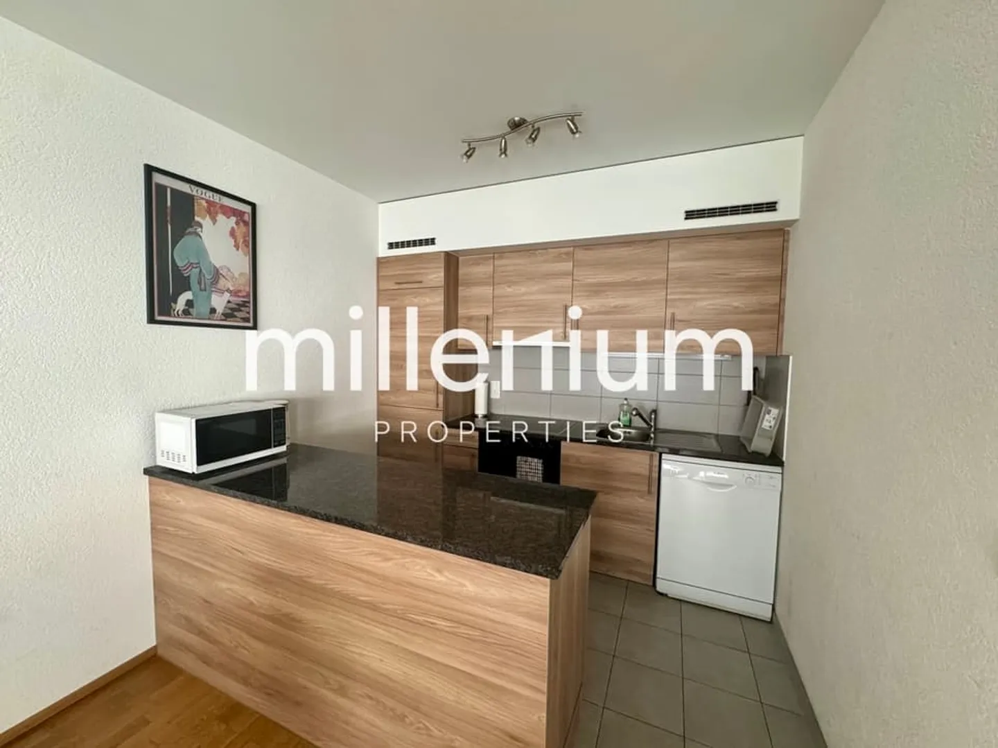 Schöne möblierte Wohnung in Carouge - Foto 4 von 8