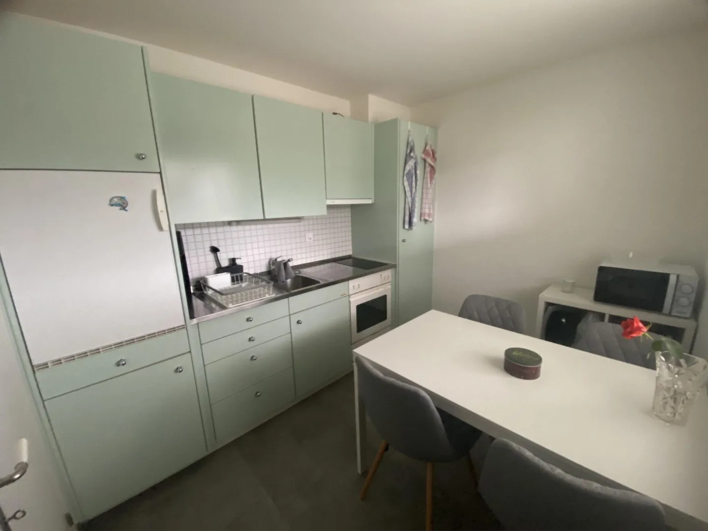 Moderno appartamento di 1,5 stanze al piano terra - Foto 7 di 8