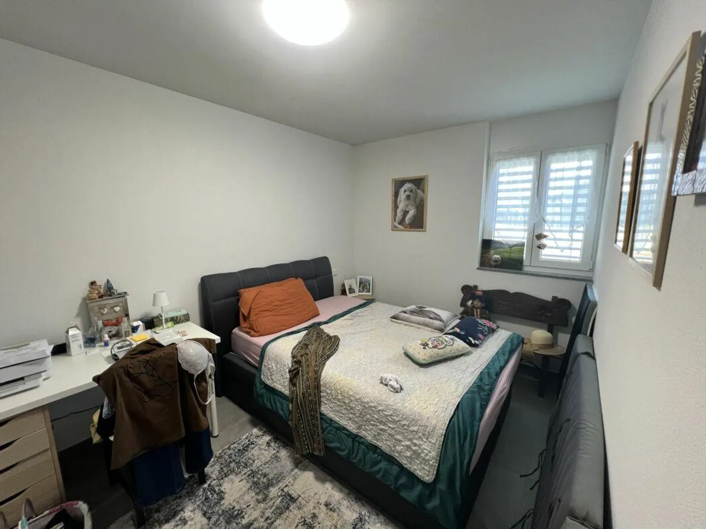 Casa plurifamiliare con 5 appartamenti di 2,5 stanze - Foto 5 di 12