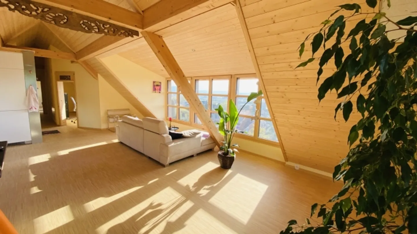 3½ ROOM APARTMENT IN OBERBUCHSITEN (SO), FURNISHED - Photo 1 of 10