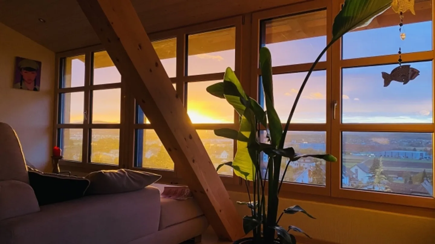 3½ ROOM APARTMENT IN OBERBUCHSITEN (SO), FURNISHED - Photo 3 of 10