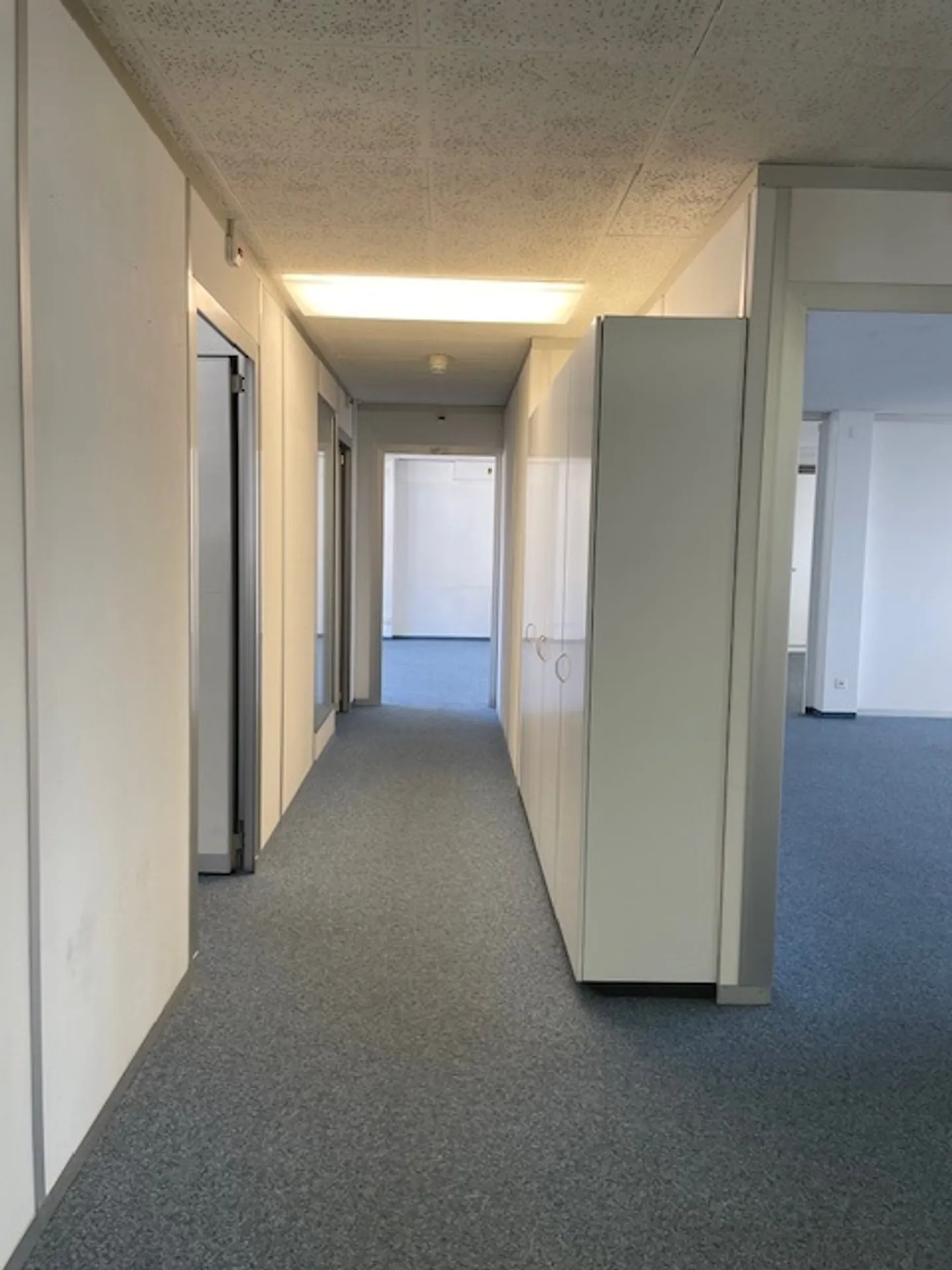 Edificio ad uso misto in affitto - Foto 3 di 3