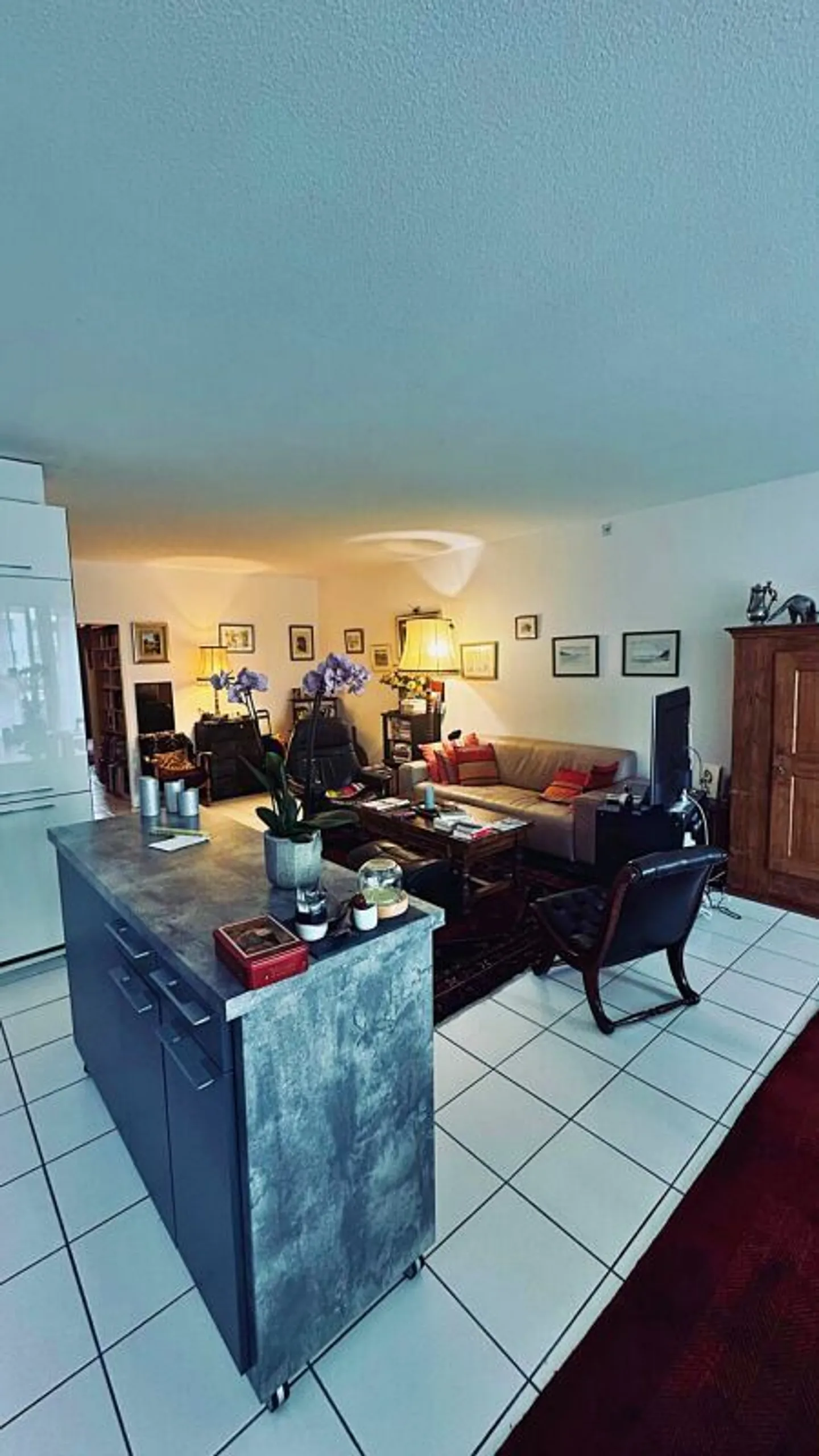 Wunderschöne 4-Zimmer-Wohnung im Herzen von Carouge zu verkaufen - Foto 4 von 19