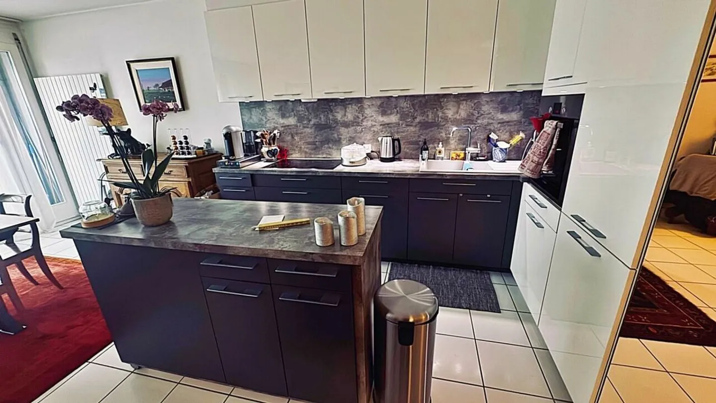 Wunderschöne 4-Zimmer-Wohnung im Herzen von Carouge zu verkaufen - Foto 8 von 19