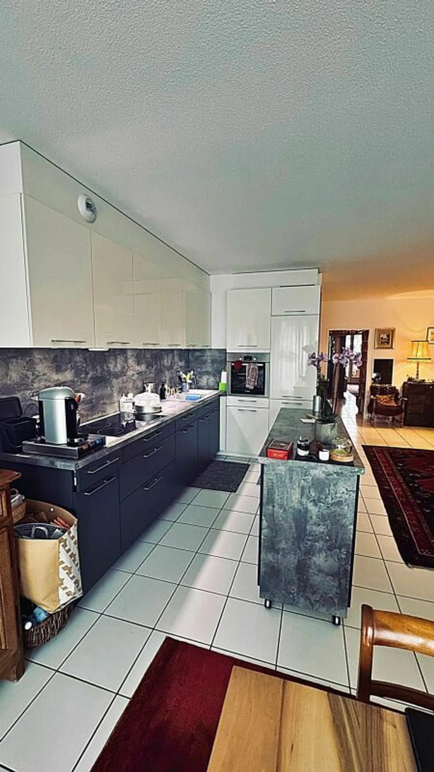 Wunderschöne 4-Zimmer-Wohnung im Herzen von Carouge zu verkaufen - Foto 9 von 19