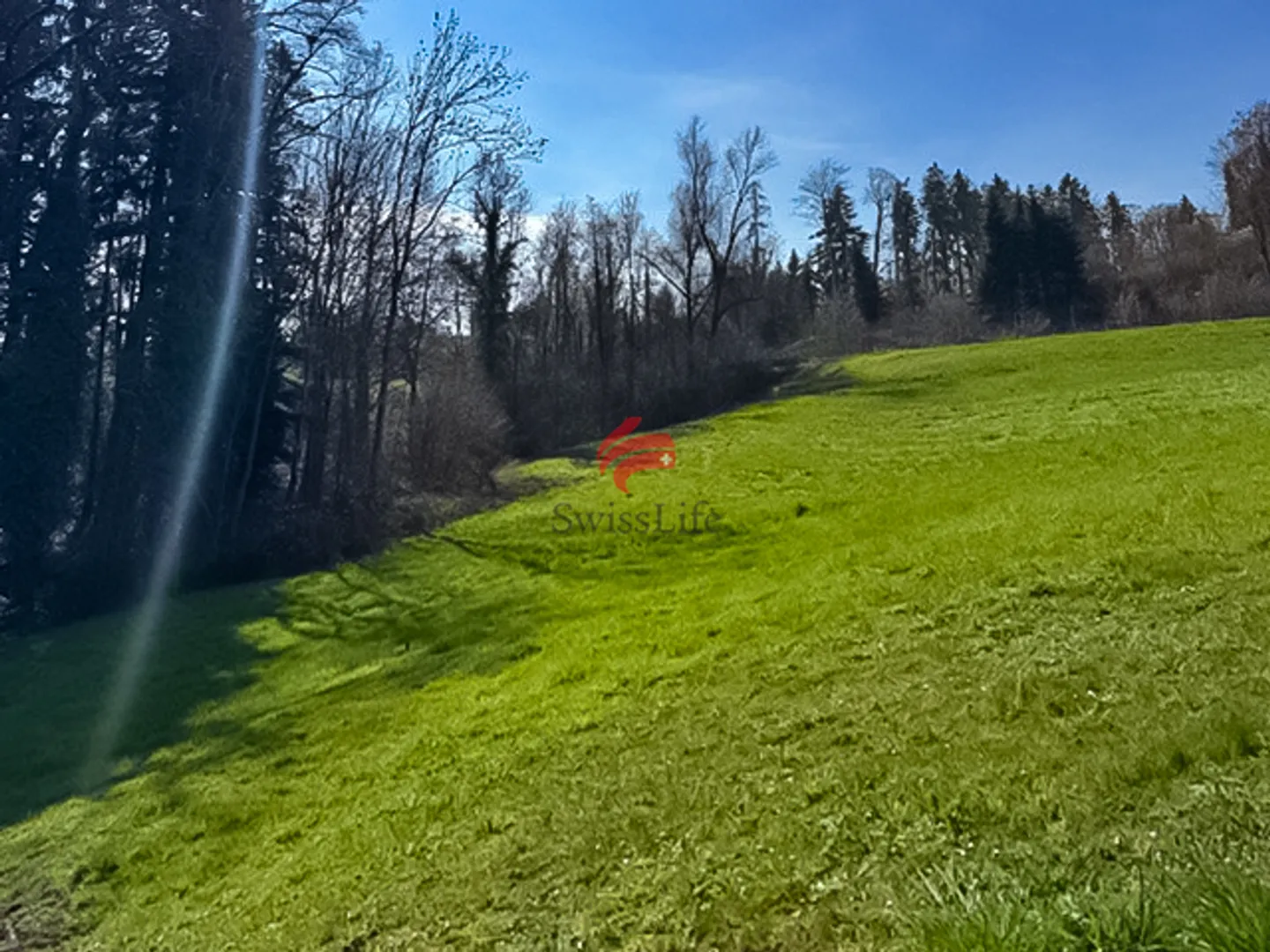 Terrain de construction idéal près du lac - Photo 4 sur 6