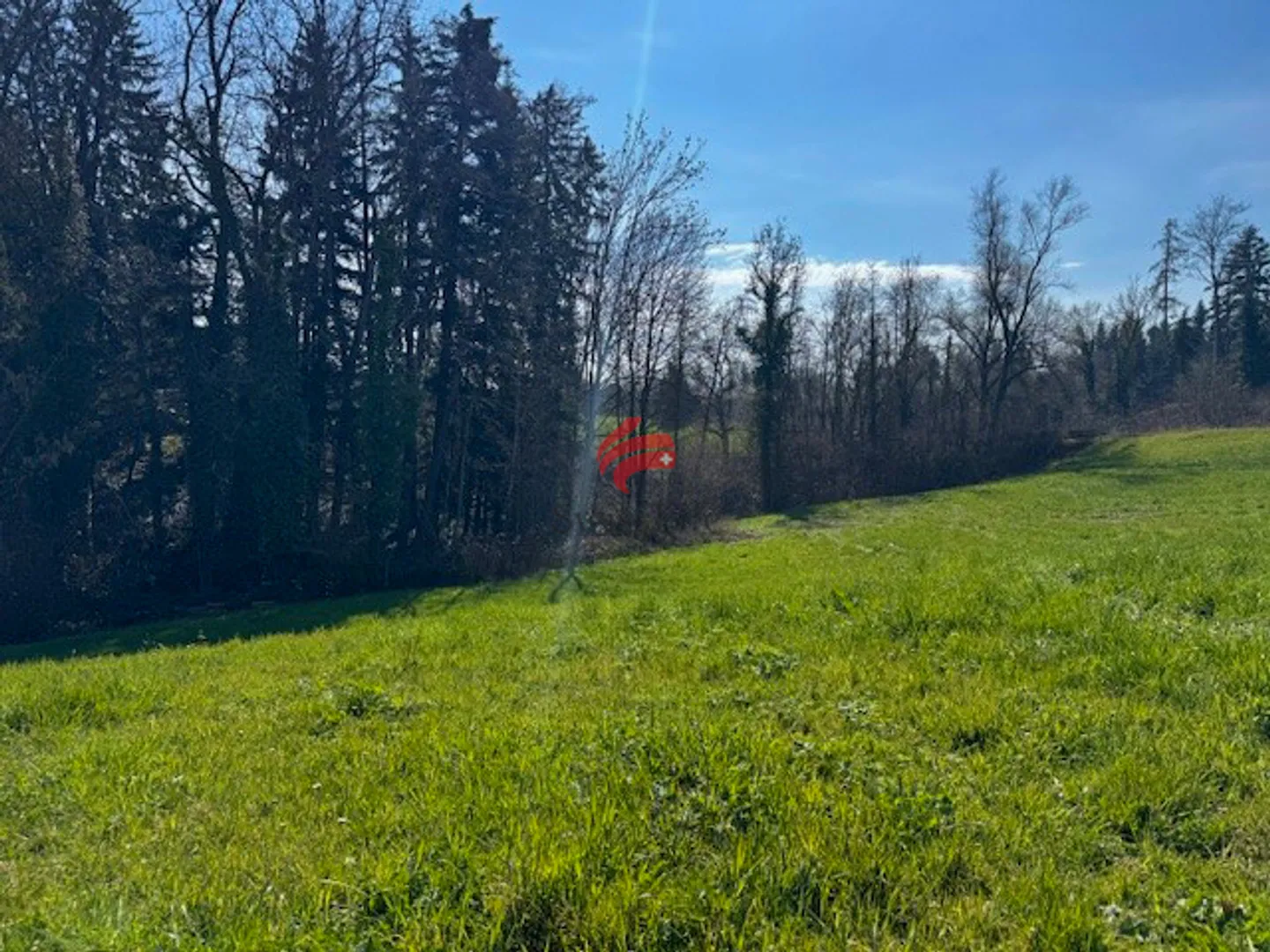 Terrain de construction idéal près du lac - Photo 3 sur 6