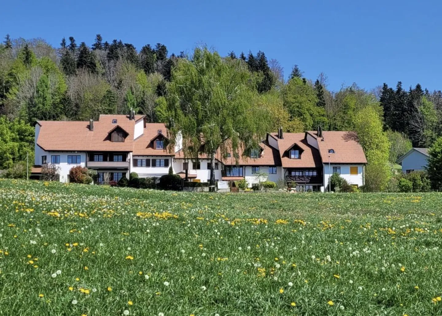 Maison de ville élégante de 5,5 pièces avec vue sur les Alpes et oasis de bien-être - Photo 8 sur 15