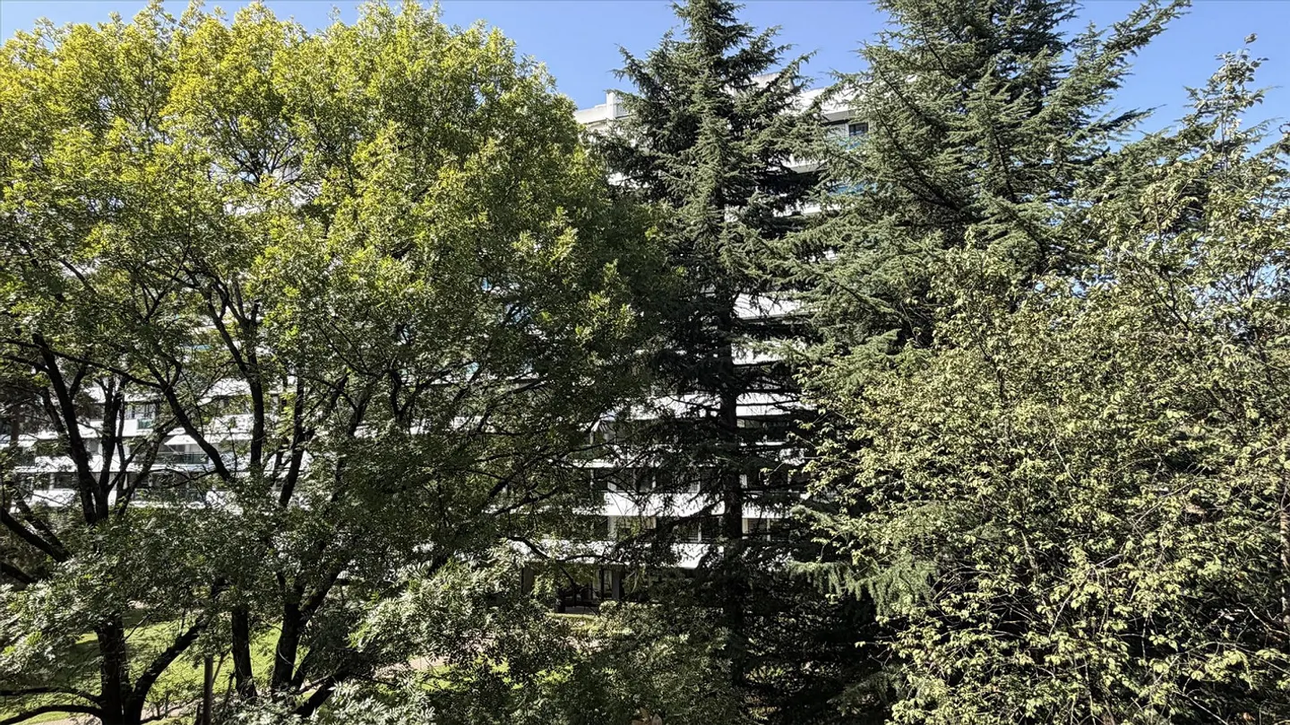 Appartamento di 4 stanze vicino al quartiere delle Nazioni. - Foto 11 di 13