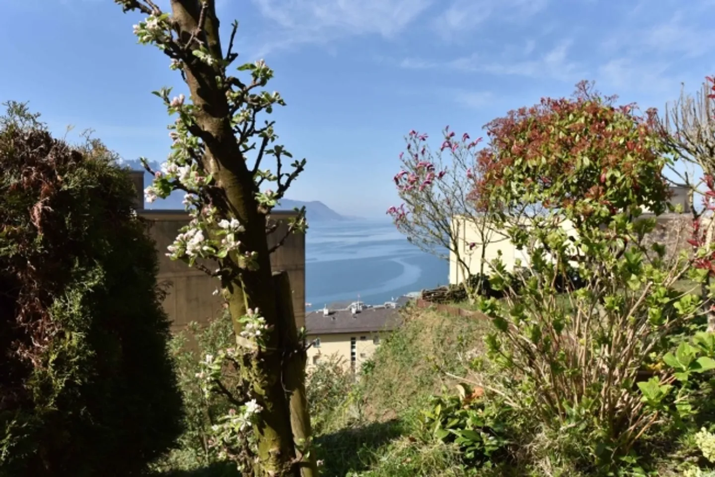 Ground floor apartment with large panoramic terrace in Montreux - Photo 1 of 9