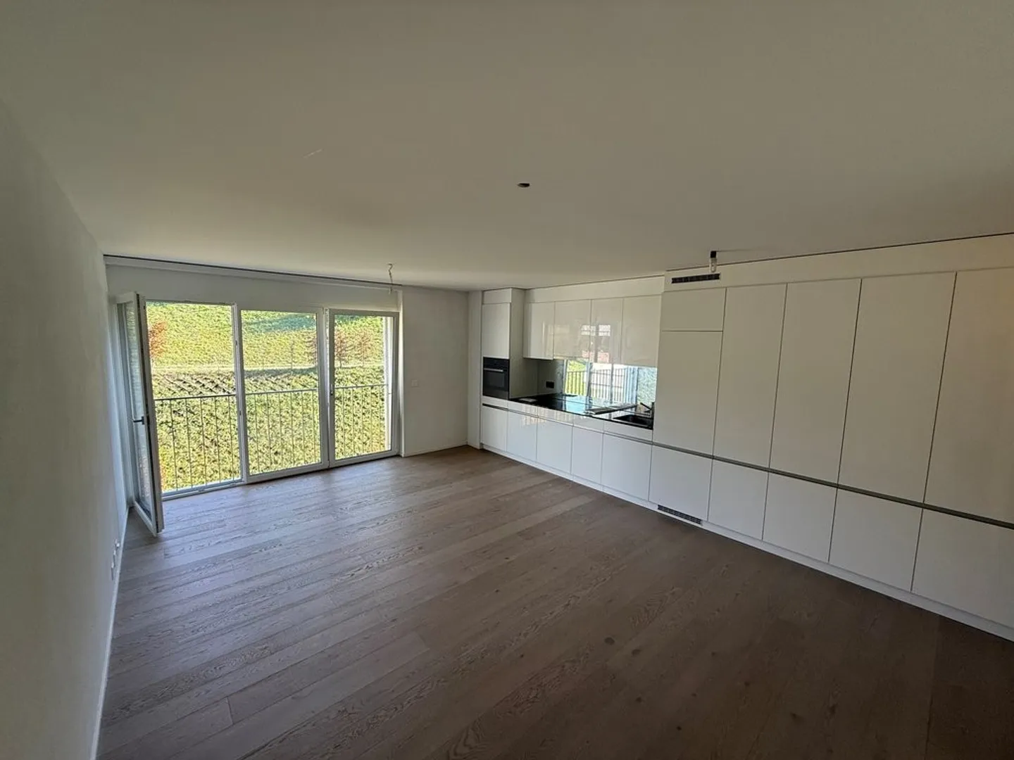 1.5 Room Apartment - Photo 1 of 4