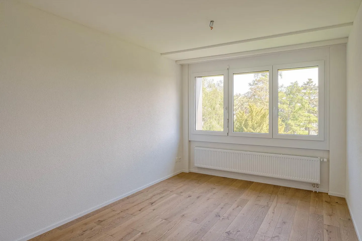 Living. Feeling good. Weinfelden! - Photo 7 of 10