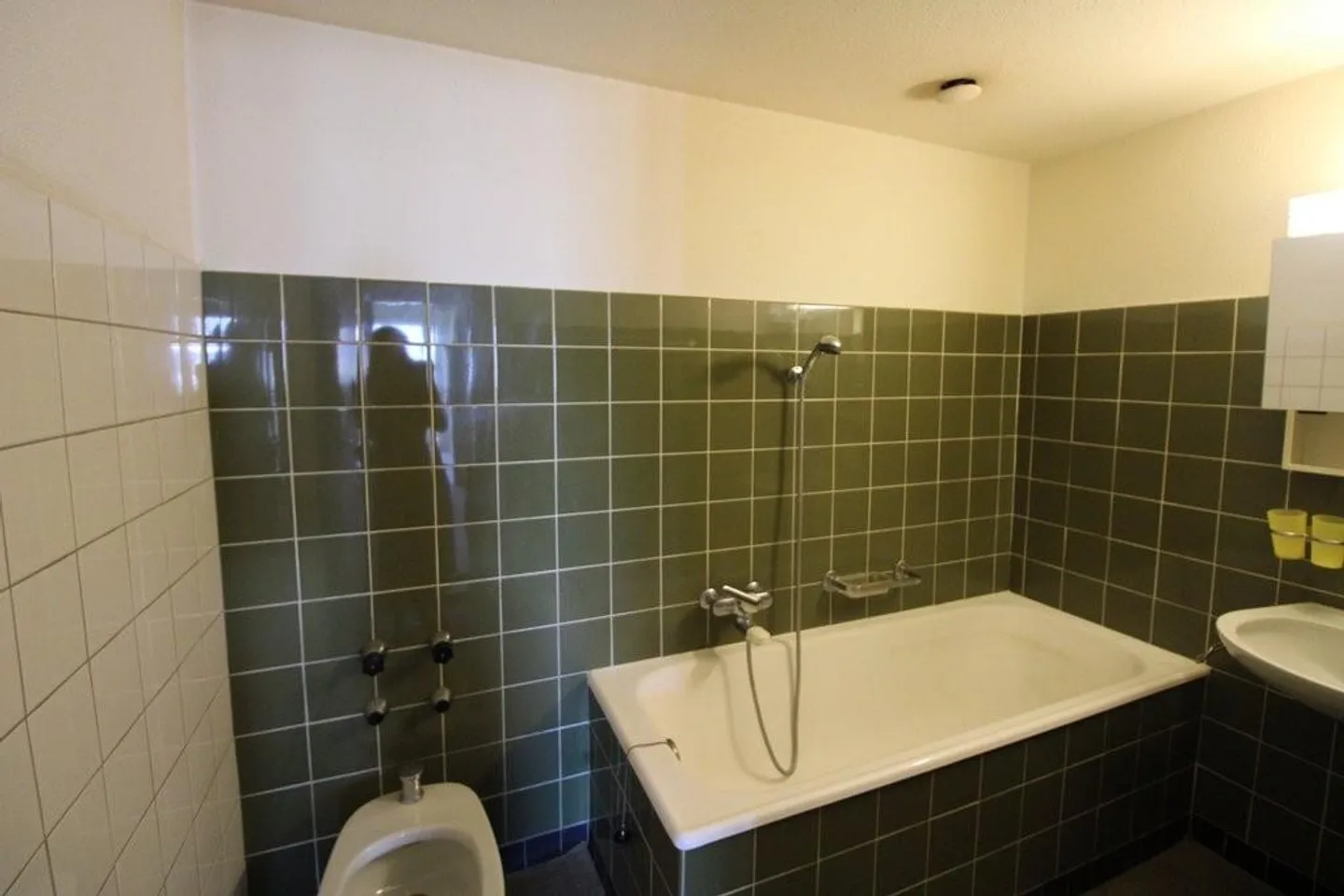 Charming 3-room apartment with lake view - Photo 4 of 6