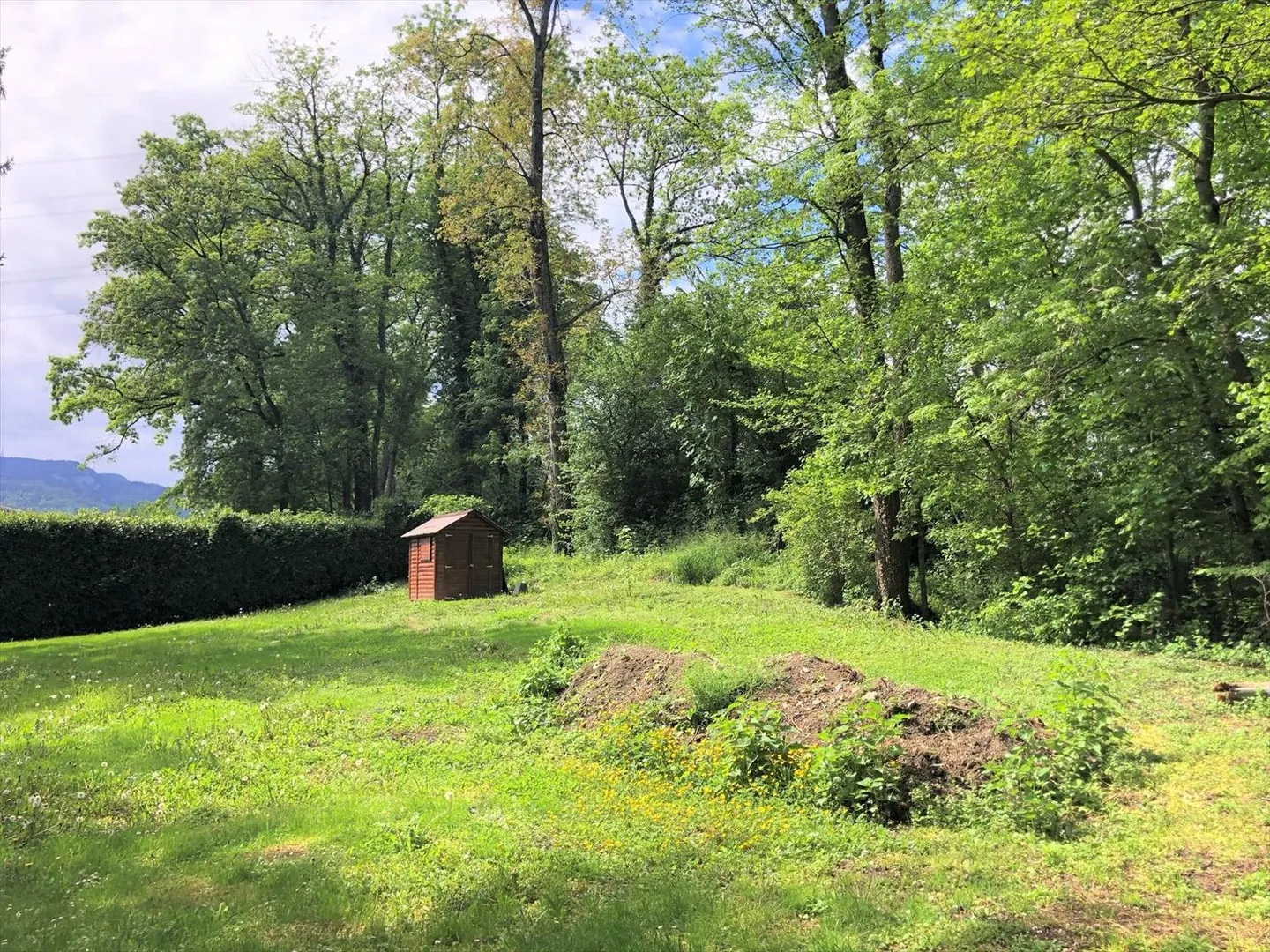 Schulungsräume, Geschäftsräume, Büros - Foto 3 von 11