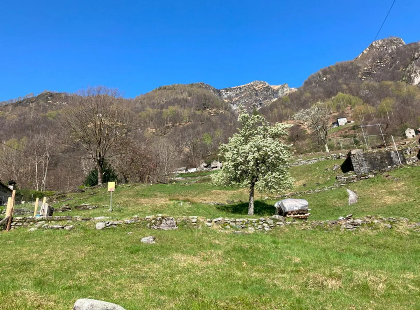 Rustico zum Ausbauen mit Wiese an sehr schöner Aussichtslage - Foto 6 von 9