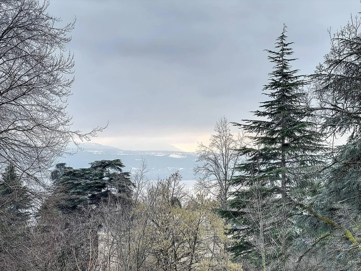 Appartement 4.5 pièces - Photo 2 sur 13