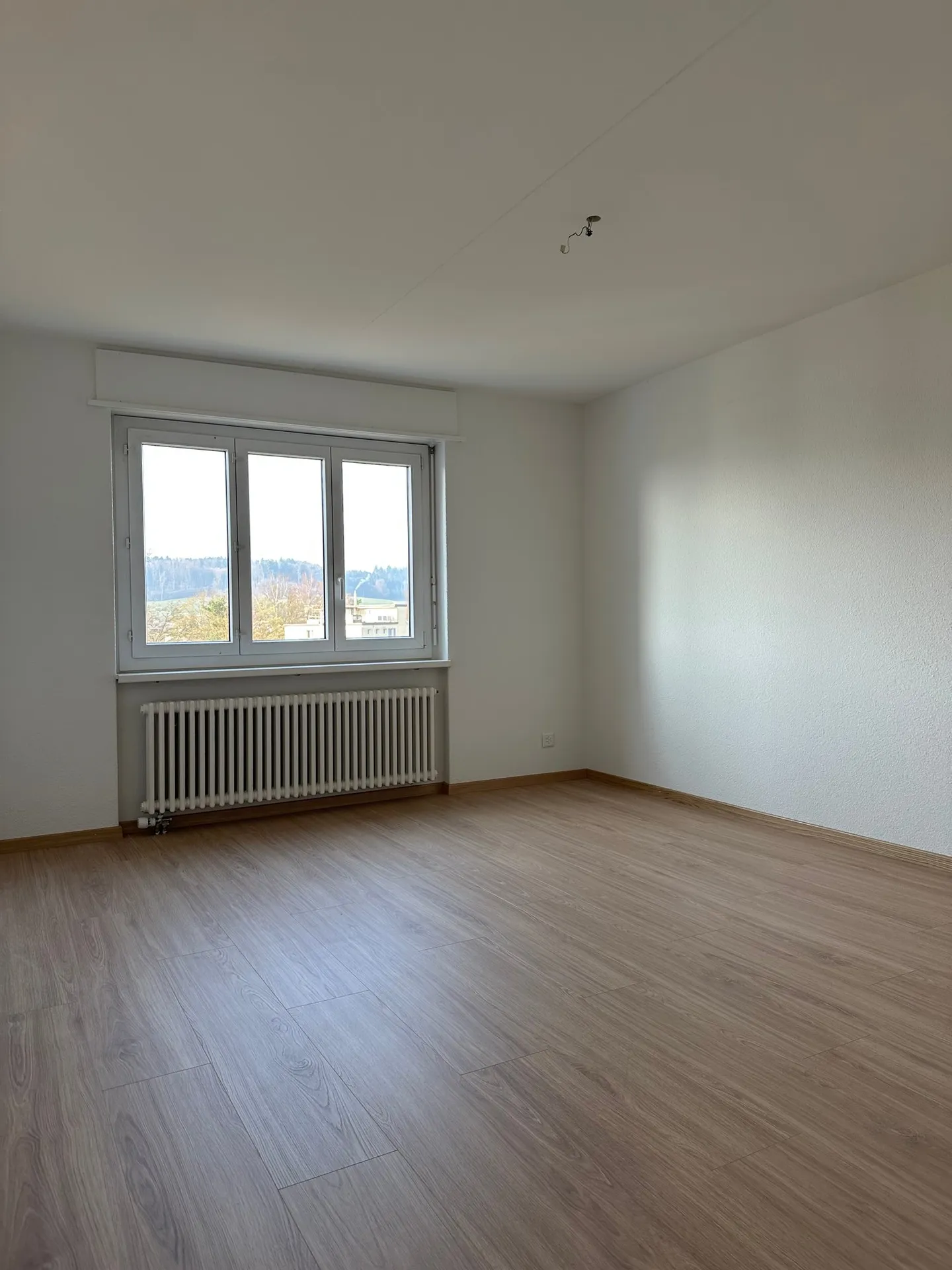 Above the rooftops of Wohlen - Photo 6 of 11