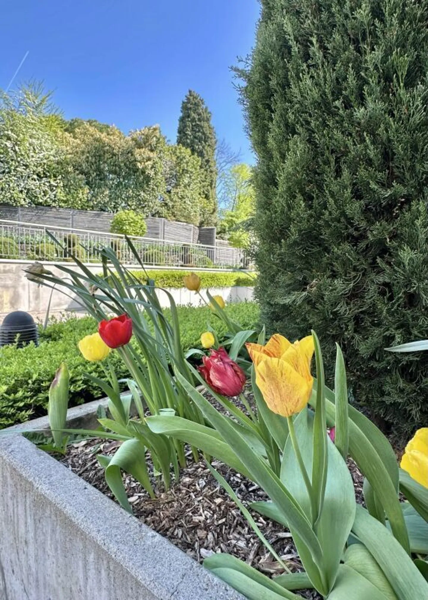 Schöne Wohnung mit Garten in Champel - Foto 40 von 40