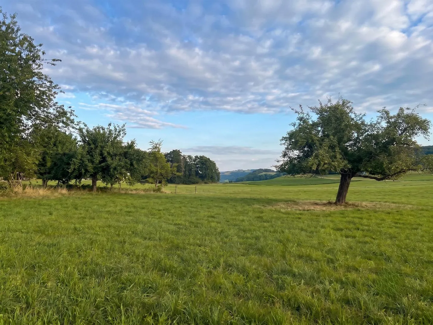 Appartamento 4.5 stanze a Seftigen - Foto 8 di 9