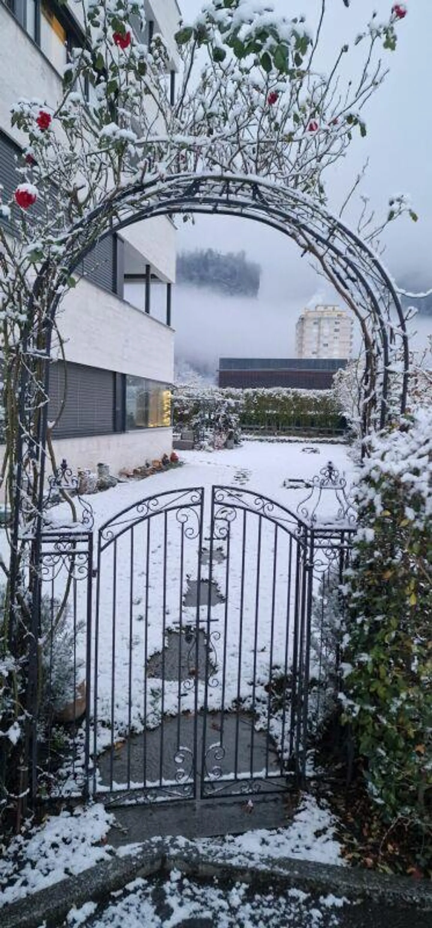 Modern 4.5-room apartment with winter garden - Photo 14 of 18