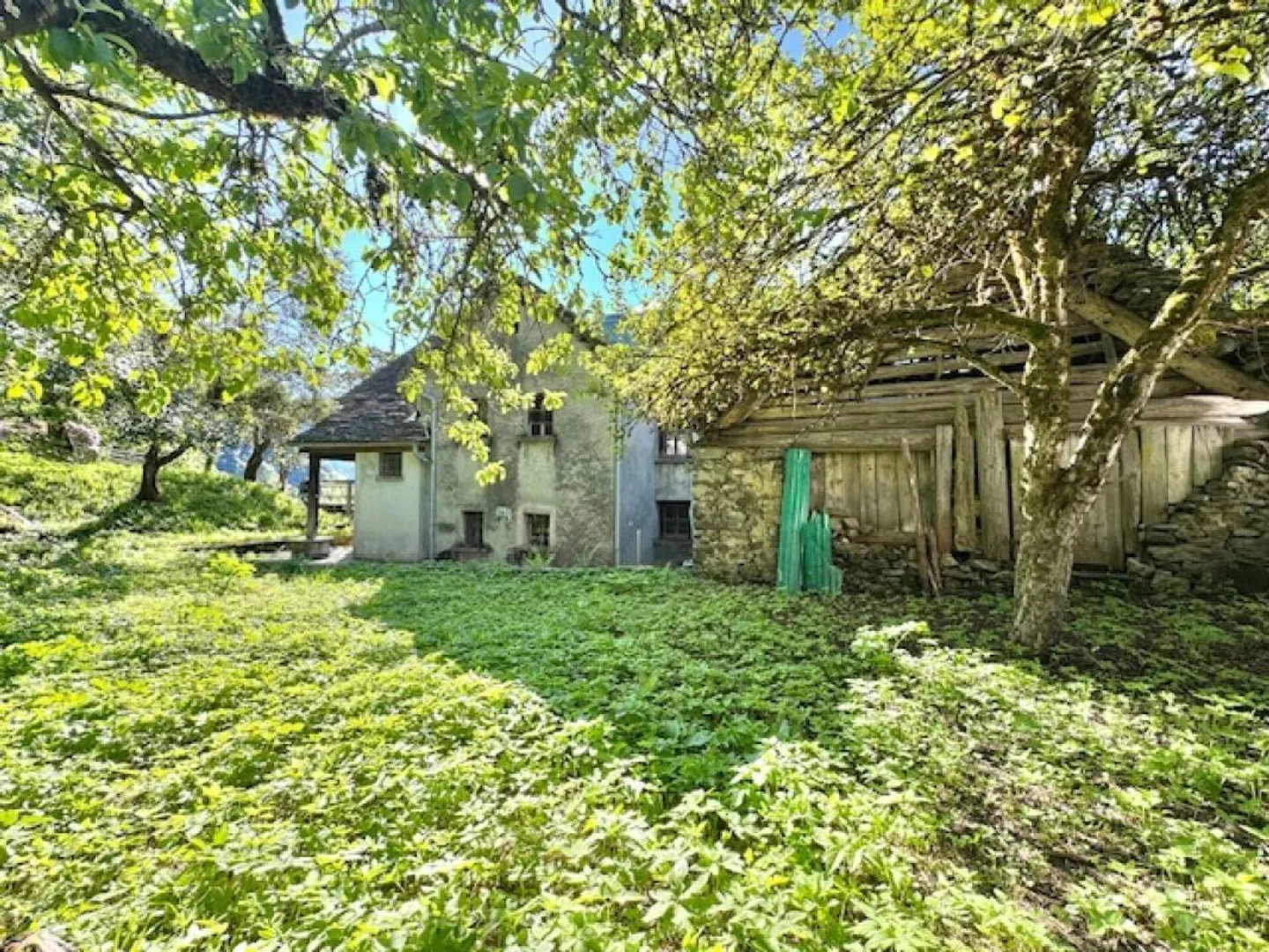 IN VENDITA A CERENTINO - ANTICA CASA TICINESE CON TYPICAL WALSER-RUSTICO - Foto 12 di 26