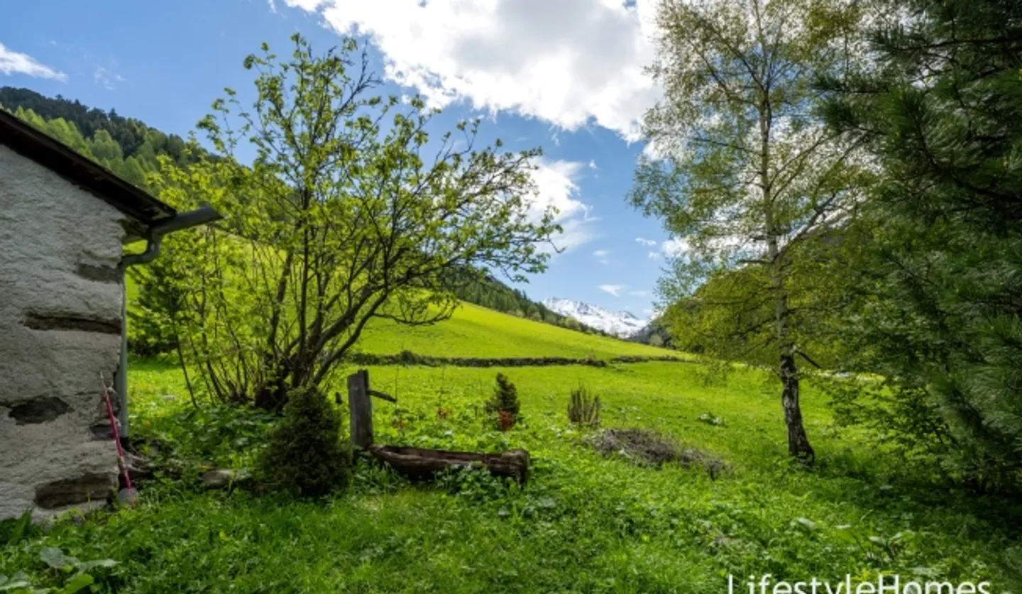Casa singola in affitto - Foto 2 di 20