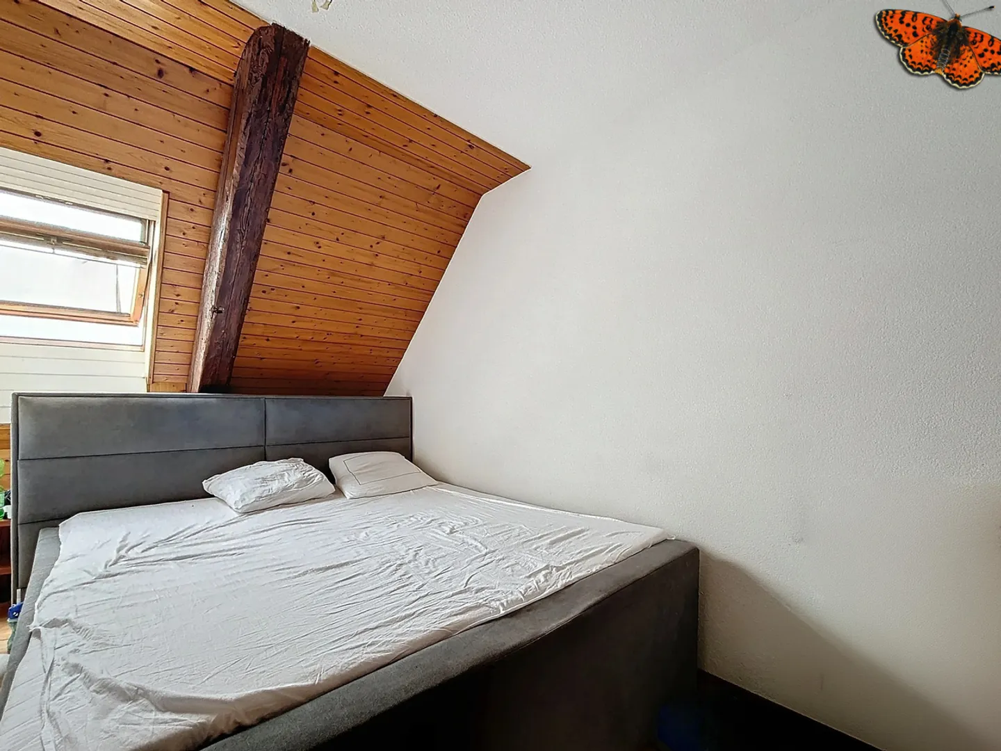 Appartamento in affitto - Foto 5 di 8