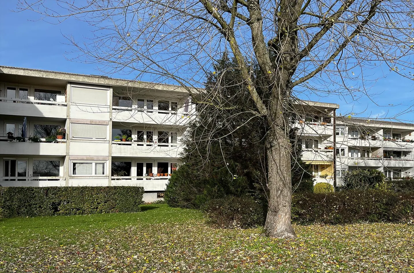 Appartamento 5 locali - Foto 2 di 12