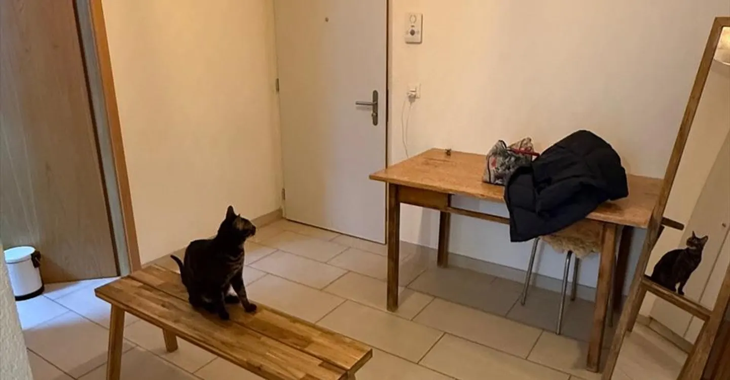 3.5 Room Apartment - Photo 6 of 11