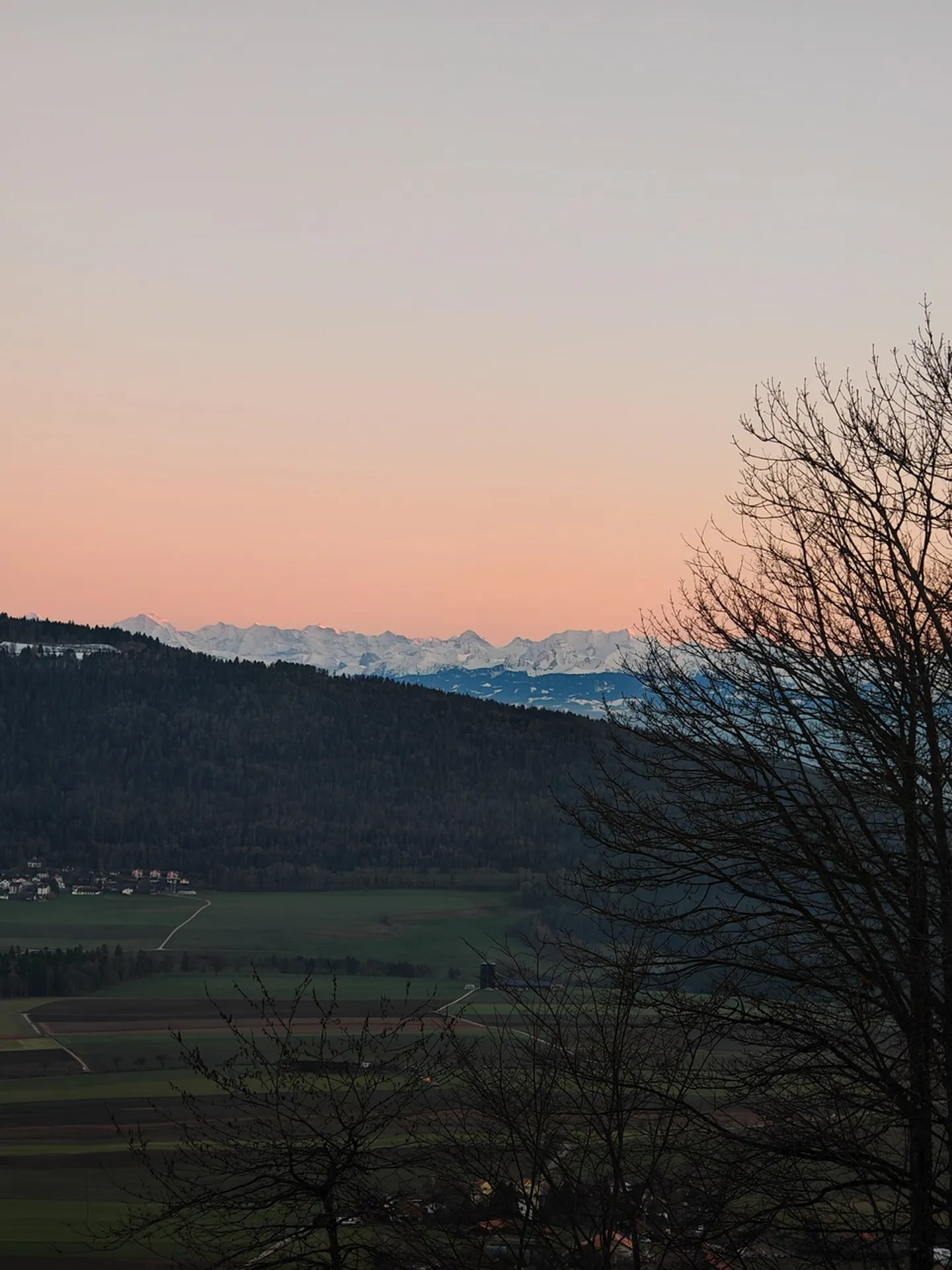 Appartamento Val-de-Ruz - 3,5 stanze - Foto 2 di 8